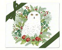 Snowy Owl Flour Sack Towel (set of 2)