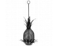 Pineapple Bird Feeder