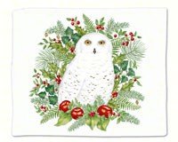 Snowy Owl Single Flour Sack Towel