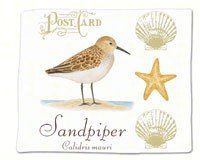 Sandpiper Single Flour Sack Towel