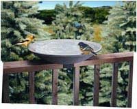 Deck Bird Bath â€“ 20 Inch EZ-Tilt & Clean â€“ Non-Heated