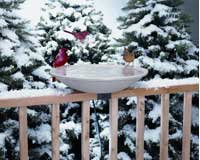 Heated Bird Bath â€“ EZ Deck â€“ Tilt And Clean