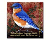 Bluebird Signature Series Coasters 4