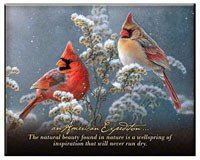 Cardinal Plaque