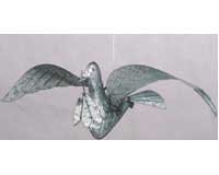 Peace Dove