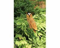Flamed Owl Staked