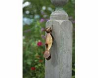 Flamed Woodpecker Wall Mount