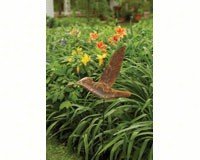 Hummingbird Flamed Staked