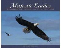 Majestic Eagles