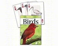 Birds of the Gulf Playing Cards