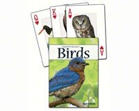 Birds of the Northeast Playing Cards
