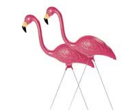 Flamingo Pair