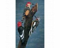 Woodpecker Tree Ornament