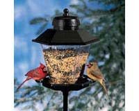 Coach Lamp Bird Feeder