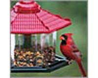 Gazebo Bird Feeder