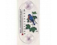 Bluebird Maple Window Therm.
