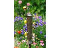 Thistle Tube Medium Brushed Nickel Quick Clean Base
