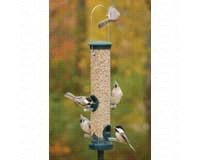 Quick Clean Spruce Seed Lrg
