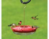 Hummingbird Feeder â€“ Hum Zinger High Viewâ€“  Red Color Top