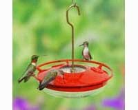 Hummingbird Feeder â€“ Humm Zinger â€“ High View 8 oz.