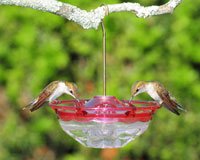 Hummingbird Feeder â€“  HummBlossoms 4 oz â€“  Rose Color