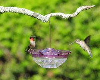 Hummingbird Feeder â€“ HummBlossoms 4 oz â€“ Plum Color