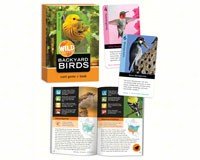 Backyard Birds Wild Cards
