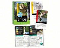 North American Birds Wild Cards