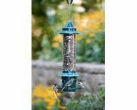 Squirrel Buster Plus