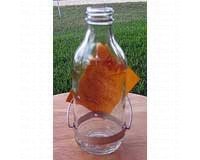 Replacement 8 oz. Bottle