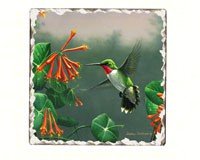 Hummingbirds Number 2 Single Tumbled Tile Coaster