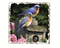 Bluebirds Number 2 Single Tumbled Tile Coaster