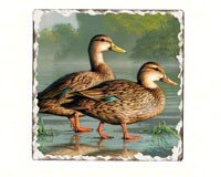 Brown Ducks Single Tumbled Tile Coaster