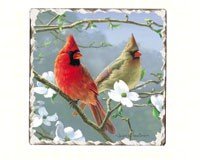 Cardinals Number 3 Single Tumbled Tile Coaster
