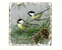 Chickadees Number 2 Single Tumbled Tile Coaster