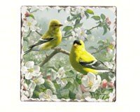 Goldfinches Number 1 Single Tumbled Tile Coaster