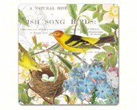 Botanical Birds Hardboard Coasters Set of 4