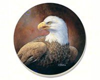 Eagles Coasters Set of 4
