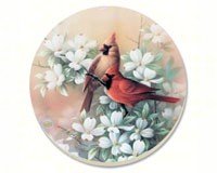 Cardinals Coasters Set of 4