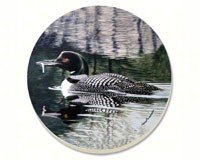 Loon Coasters Set of 4