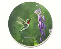 Hummingbird Hosta Coasters Set of 4