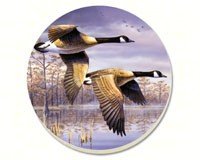 Canadian Geese Coasters Set of 4