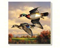 Water Birds Wood Duck Pair Coasters Set of 4