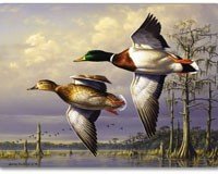 Water Birds Hardboard Table Mats Set of 2