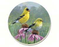 Beautiful Songbirds Goldfinch Coaster Gift Set