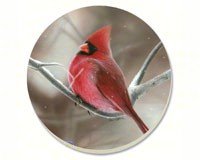 Winter Cardinal Coasters Set of 4