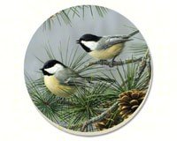 Beautiful Songbirds Chickadees Coasters Set of 4