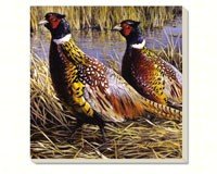 Game Birds Pheasants Coasters Set of 4