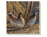 Game Birds Quail Coasters Set of 4