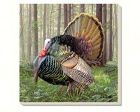 Game Birds Turkey Coasters Set of 4